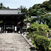 あぢさゐ回廊-奈良県桜井市：長谷寺