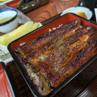 袋井 うなぎの小太郎