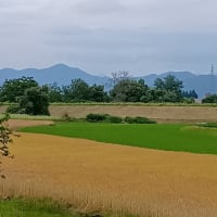 お肌のお手入れ^^;