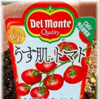 家庭菜園「キュウリ・ミニトマト」
