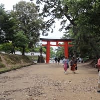5/26　山の辺の道（北コース）