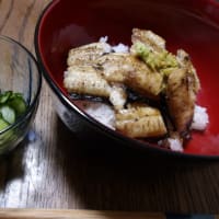 ミントの藪撲滅