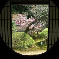 京都雲龍院　丸窓