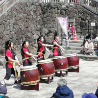 先日は　２１,３０８歩も歩いた。一日に２万歩以上も歩くなんて何年ぶりだっただろう？