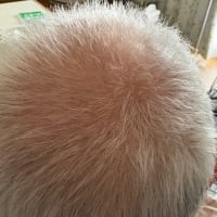 もしかして、もしかした？