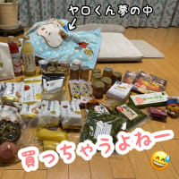 旅犬in波乱の！？長野・岐阜の旅編③