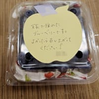 ブルーベリーを頂きました