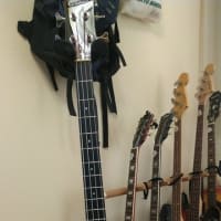 新しい仲間が増えました