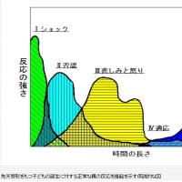 研修 第二日　～本日、学んだ事