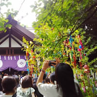 東京大神宮 2025/06/30 と 令和七年七月七日