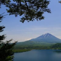 富士山を見に中之倉峠へ。。。