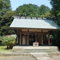 熱帯低気圧（　＆　老人とニャン　）の巻