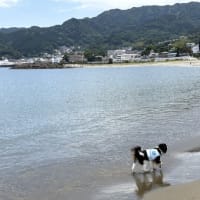｢長浜海浜公園｣で遊ぶ･･･そのあと災難が～母の長寿お祝い旅行②