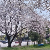 Tｅｍｕでギター弦購入
