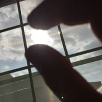 リギュメント