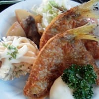  1254) 松幸ランチ ～鮎の塩焼き、クロムツの唐揚げ・肉ジャガ・イカのマヨネーズ和え、カンパチの刺身