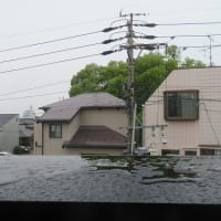平年より三日遅れで梅雨に入った名古屋