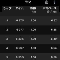 ブリックラン（バイク２０ｋｍ、ラン５ｋｍ）& 隣家の庭仕事