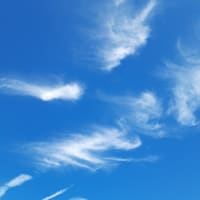 7月１０日、今日は青空。