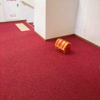 秋の遠足、それはエキサイティング