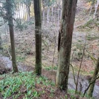 「琴の沢湧水」64リットル汲んでみた。