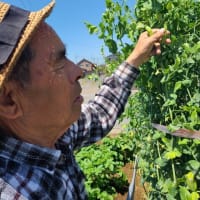 本日の主役は→→