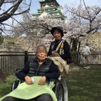2022年　桜満開★大阪城西の丸庭園