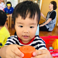実習生