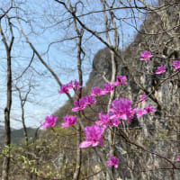 2025.4.19-20 暑さと染み出しの二子山