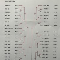 第24回全少新潟県予選会の記録（組手競技）