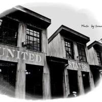 春★弾丸★TOUR