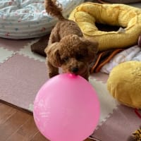 病院の日