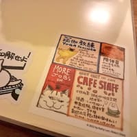 ｶﾜﾖｲステッカー自慢