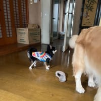 パフューム？