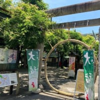 夏越しの大祓、茅の輪くぐり、千年乃藤。