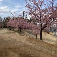 春の嵐