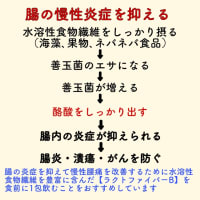 腰痛　腸が危険