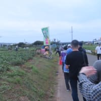 枝豆