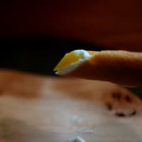 cenci （past） 23