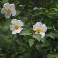 💖ブログ引っ越し完了💖