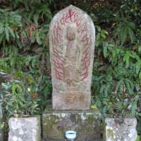 天満村寺尾九兵衛（30）寺尾ツタは義甥と寛延年間に坂之内池からの水路を完成させた