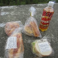 支笏湖の紋別岳に行ってきました。