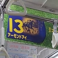 第84回オークス(G1)京王線中吊り広告
