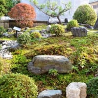 初めてブログを試みる　苔と庭