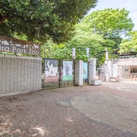 井の頭自然文化園　動物園　「ようこそデザニャーレ東京どうぶつえんすいぞくえん」