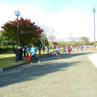 角田市阿武隈リバーサイドマラソンが2014年11月2日開催
