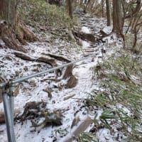 羅漢と「nonahouse」の話