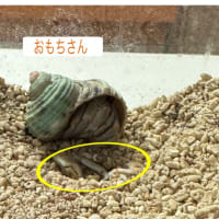 今日いち-2025年7月6日