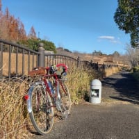 またまた久々の自転車