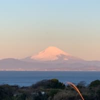 久しぶりの晴れ！富士山と月などを見に佐島の丘へ